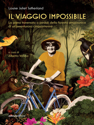 cover image of Il viaggio impossibile